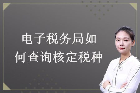電子稅務(wù)局如何查詢(xún)核定稅種