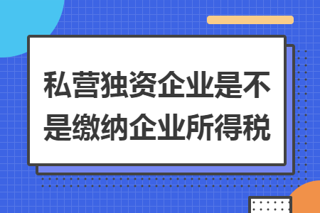 私營獨資企業(yè)是不是繳納企業(yè)所得稅