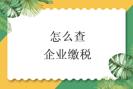 怎么查企業(yè)繳稅