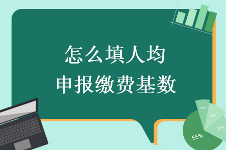 怎么填人均申報繳費基數(shù)