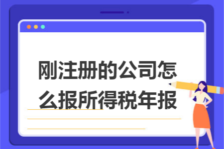 剛注冊的公司怎么報所得稅年報
