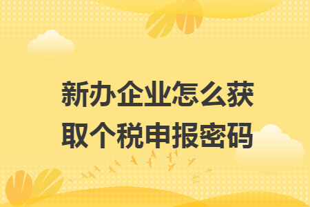 新辦企業(yè)怎么獲取個稅申報密碼
