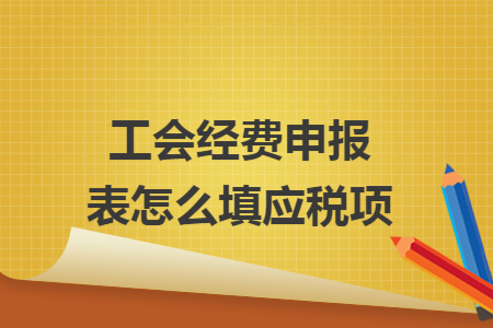 工會(huì)經(jīng)費(fèi)申報(bào)表怎么填應(yīng)稅項(xiàng)