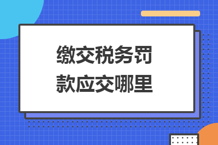 繳交稅務(wù)罰款應(yīng)交哪里