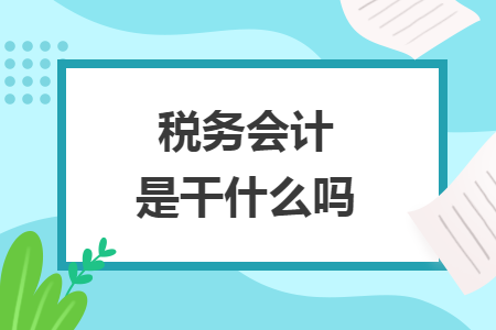 稅務(wù)會(huì)計(jì)是干什么嗎
