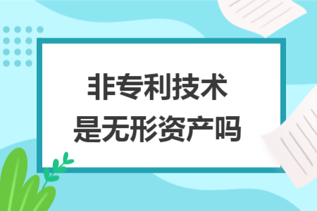 非專利技術(shù)是無(wú)形資產(chǎn)嗎