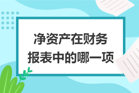 凈資產(chǎn)在財(cái)務(wù)報(bào)表中的哪一項(xiàng)