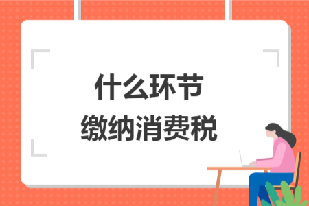 什么環(huán)節(jié)繳納消費稅