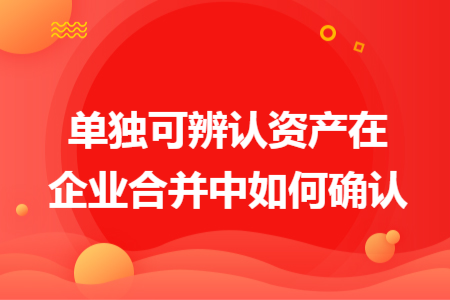 單獨可辨認資產在企業(yè)合并中如何確認