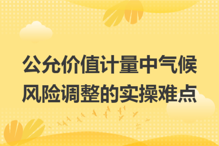 公允價(jià)值計(jì)量中氣候風(fēng)險(xiǎn)調(diào)整的實(shí)操難點(diǎn)