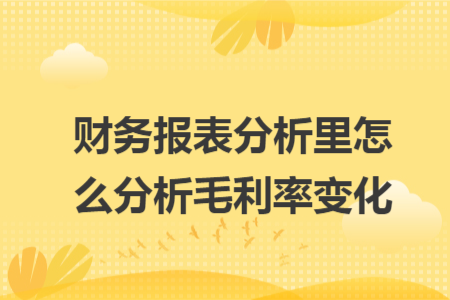 財務(wù)報表分析里怎么分析毛利率變化