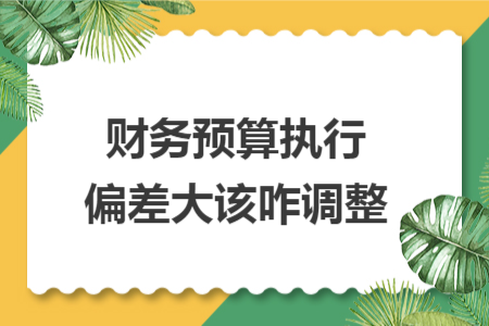 財(cái)務(wù)預(yù)算執(zhí)行偏差大該咋調(diào)整