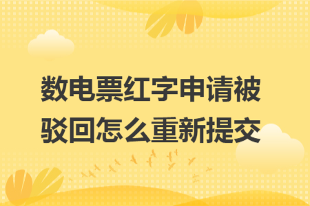 數(shù)電票紅字申請被駁回怎么重新提交